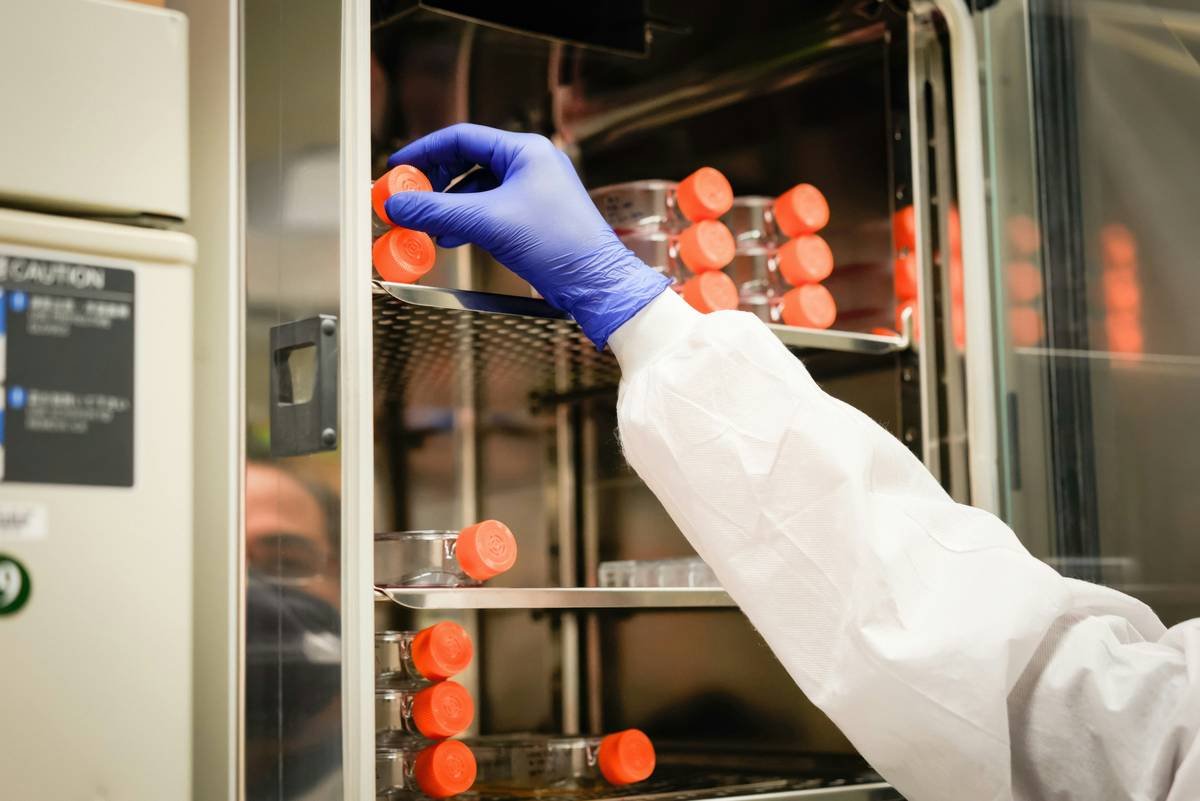 How to Incubate Eggs at Home: Your Foolproof Guide Using Egg Boilers & DIY Methods