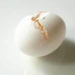 Is Cooking an Egg Endothermic or Exothermic? The Science Behind Your Egg Boiler
