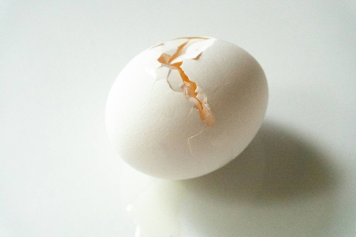 Is Cooking an Egg Endothermic or Exothermic? The Science Behind Your Egg Boiler